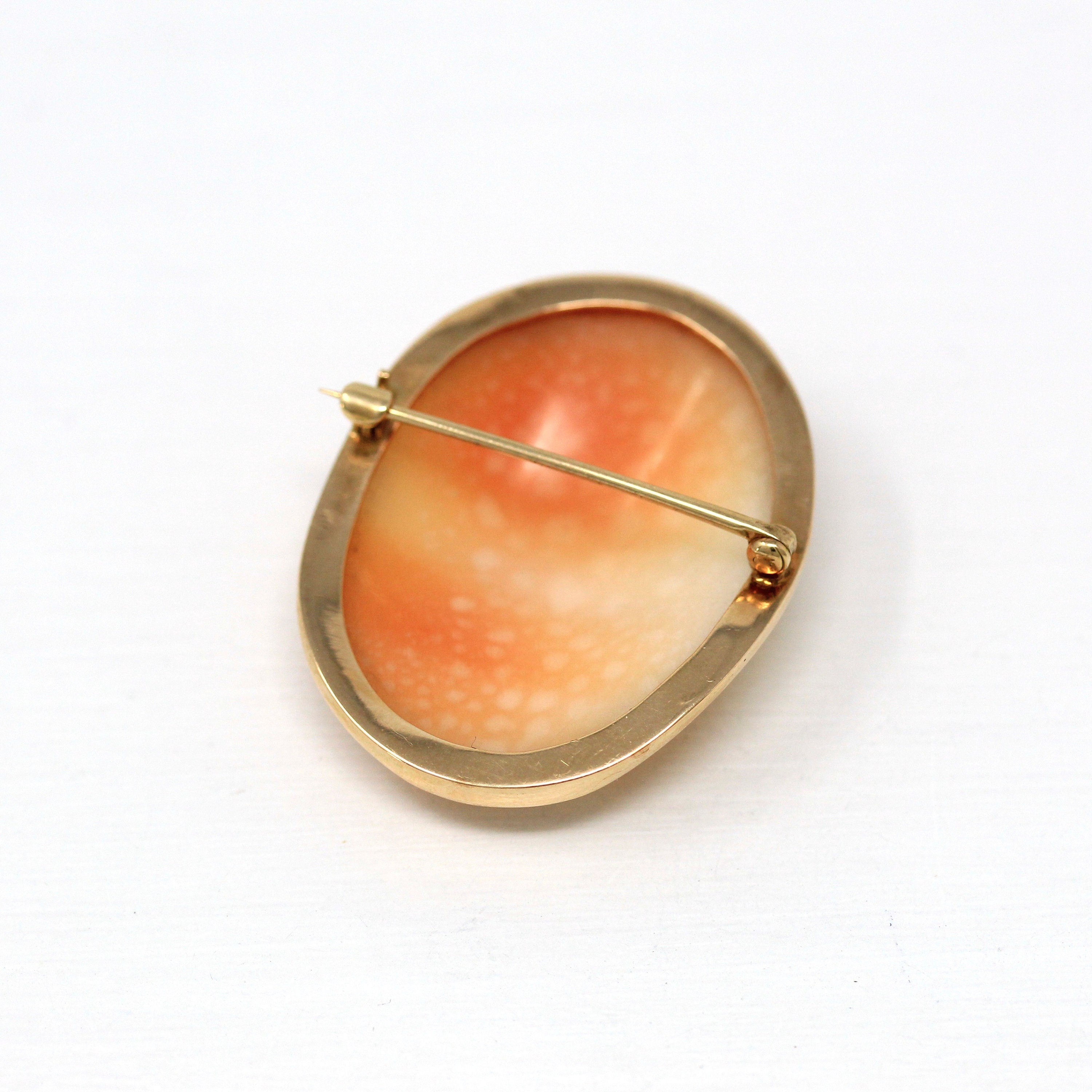 Antique Cameo Brooch - Edwardian 14k Yellow Gold Carved Shell Warrior Pin - Vintage Circa 1910s Era Fashion Accessory Fine Jewelry