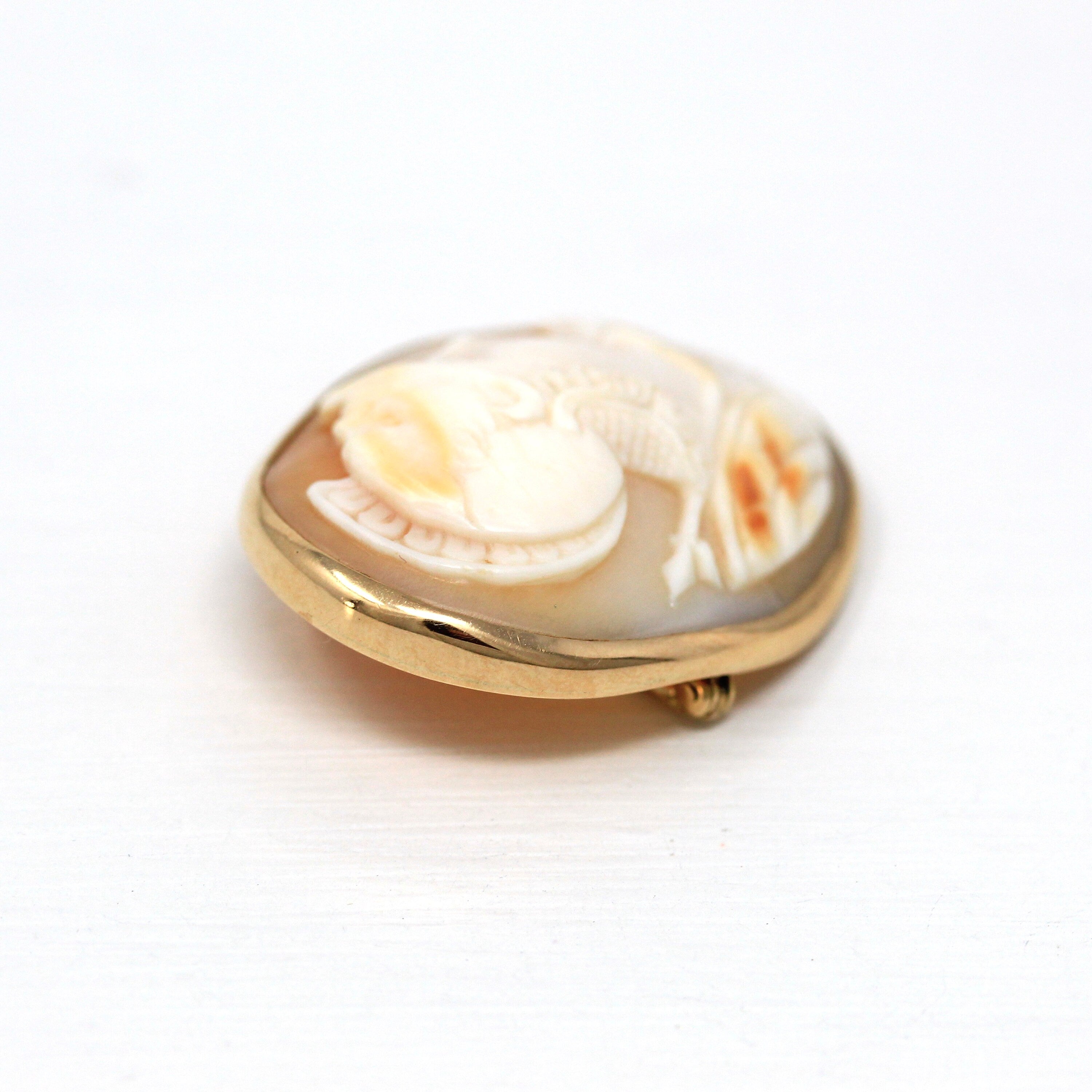 Antique Cameo Brooch - Edwardian 14k Yellow Gold Carved Shell Warrior Pin - Vintage Circa 1910s Era Fashion Accessory Fine Jewelry