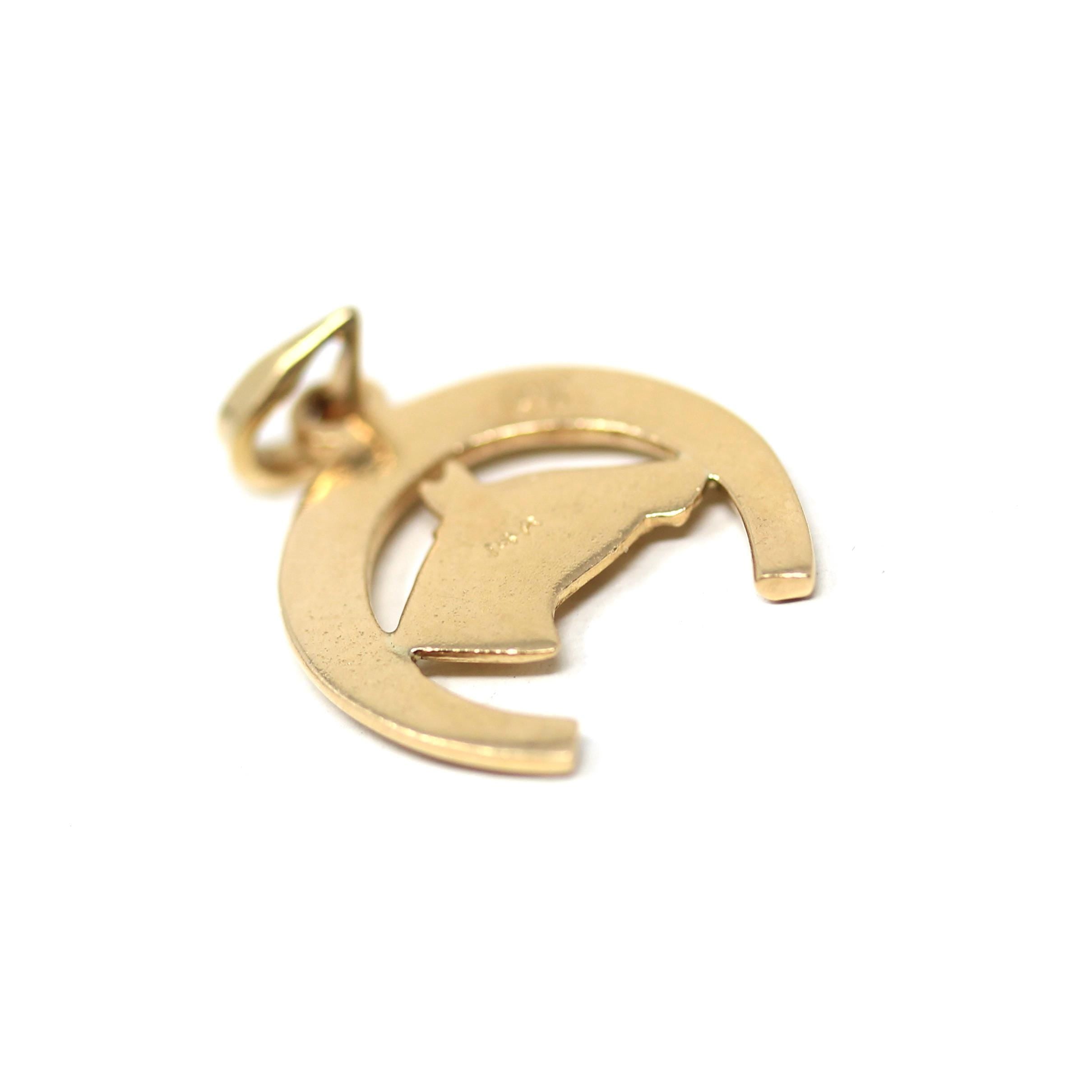Vintage Equestrian Charm - Modern Estate 14k Yellow Gold Dainty Figural Equine Horse & Shoe Pendant Necklace - Circa 2000s Fine Y2K Jewelry
