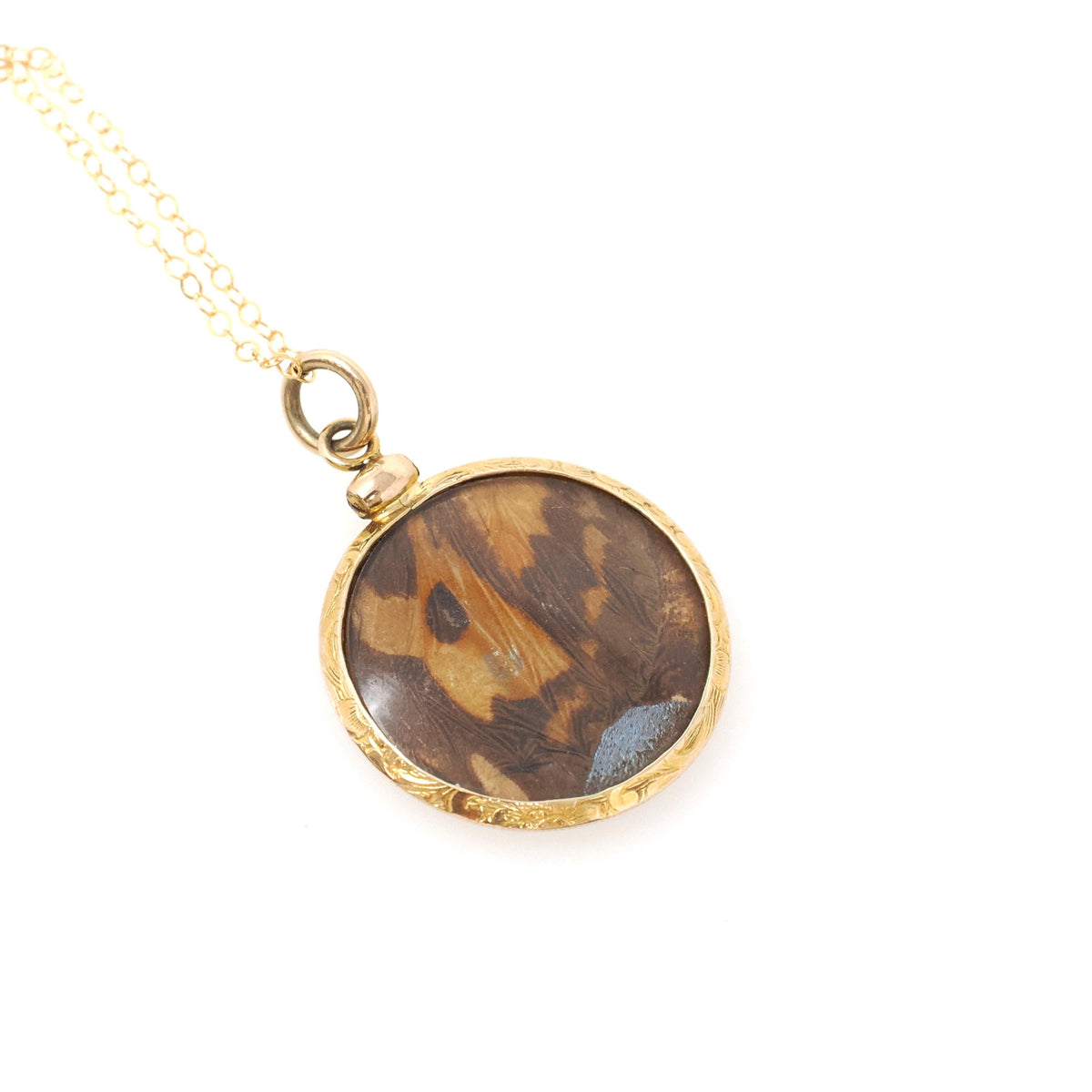Antique Butterfly Fob Necklace - Edwardian 14k Yellow Gold Double Sided Moth Iridescent Blue Morpho Wing - Circa 1910s Fine Pendant Jewelry