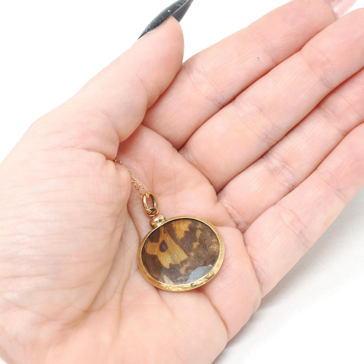 Antique Butterfly Fob Necklace - Edwardian 14k Yellow Gold Double Sided Moth Iridescent Blue Morpho Wing - Circa 1910s Fine Pendant Jewelry