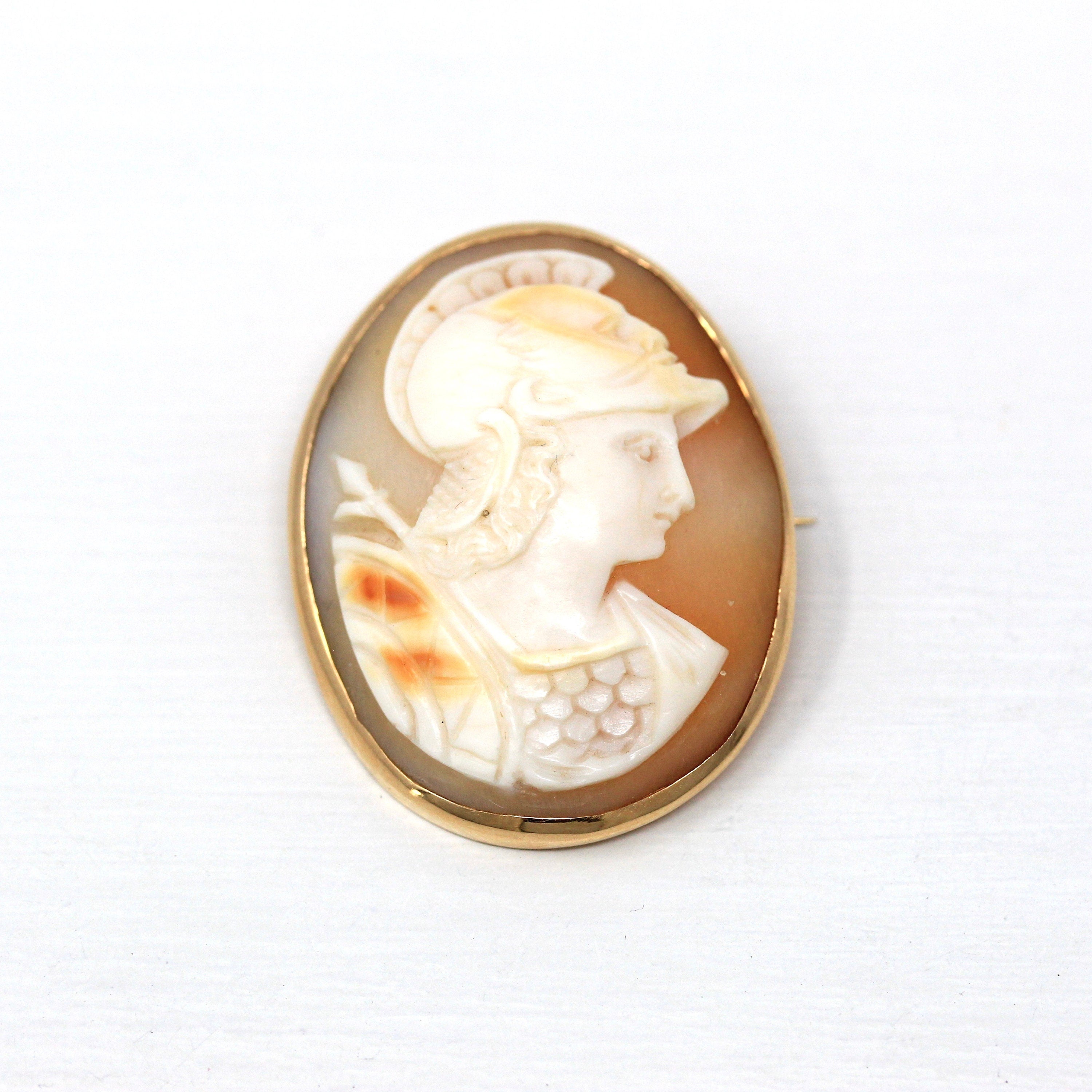 Antique Cameo Brooch - Edwardian 14k Yellow Gold Carved Shell Warrior Pin - Vintage Circa 1910s Era Fashion Accessory Fine Jewelry
