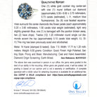 Floral Gemstone Cocktail Ring - Mid Century Era Genuine Diamond & Aquamarine Gems - Circa 1950s Era Statement Flower Fine Jewelry 50s Report