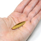 Antique Baby Brooch - Victorian Yellow Gold Fill Word Fashion Accessory Pin - Vintage Circa 1890s Fine Scalloped Cartouche Infant Jewelry