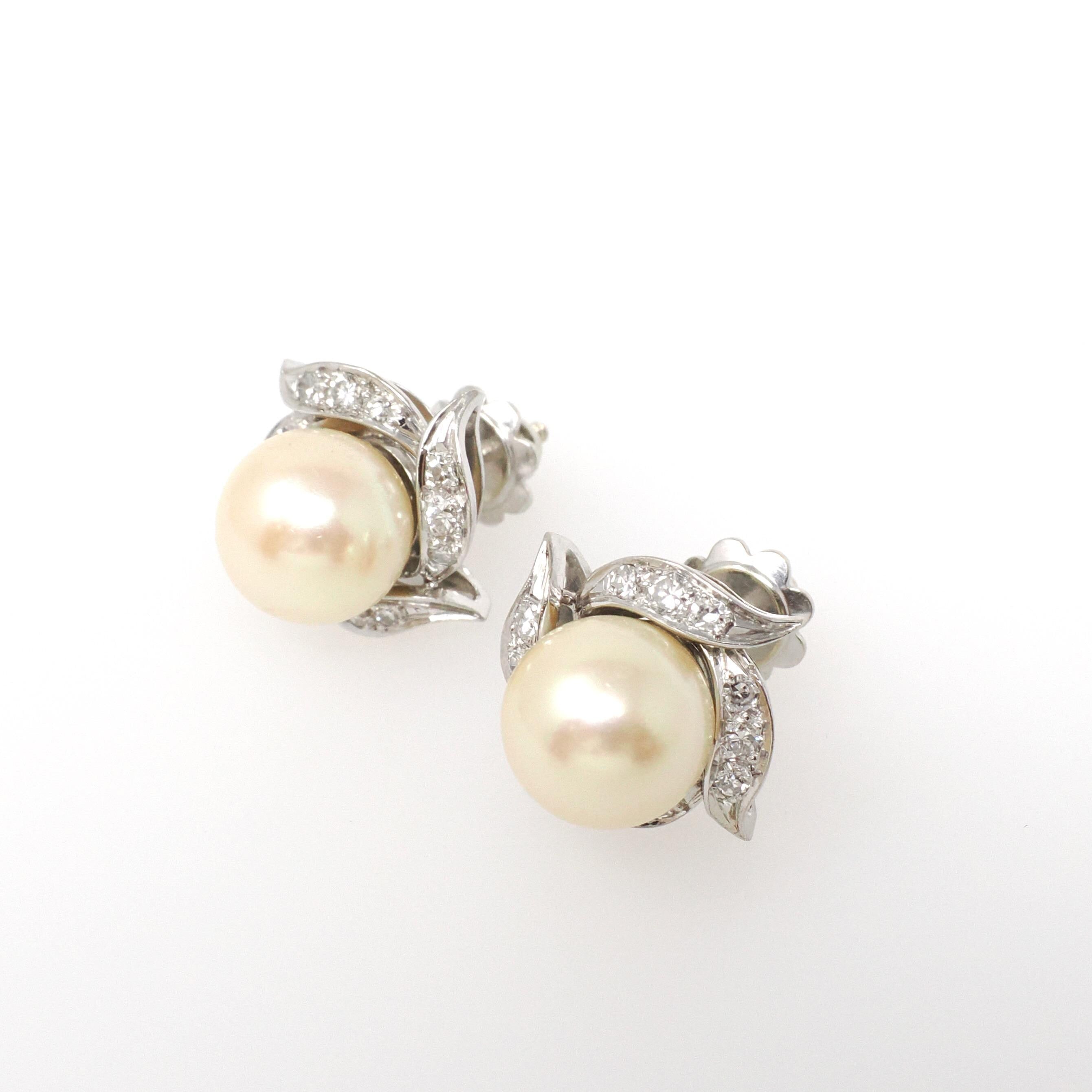 Mid Century Earrings - Vintage 18k White Gold South Sea Pearls .42 CTW Natural Diamonds - Circa 1950s Screw Back Style Spray Fine Jewelry