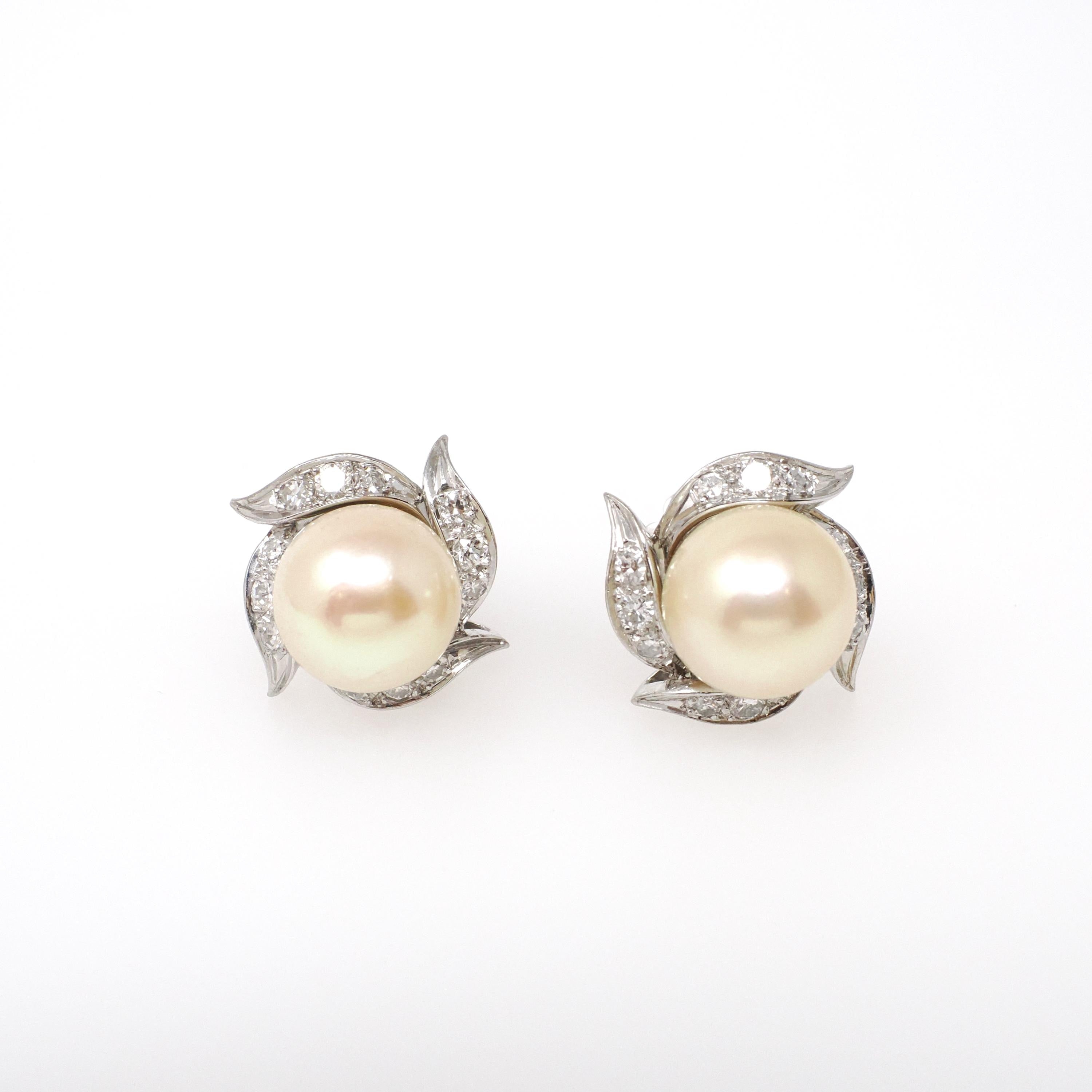 Mid Century Earrings - Vintage 18k White Gold South Sea Pearls .42 CTW Natural Diamonds - Circa 1950s Screw Back Style Spray Fine Jewelry