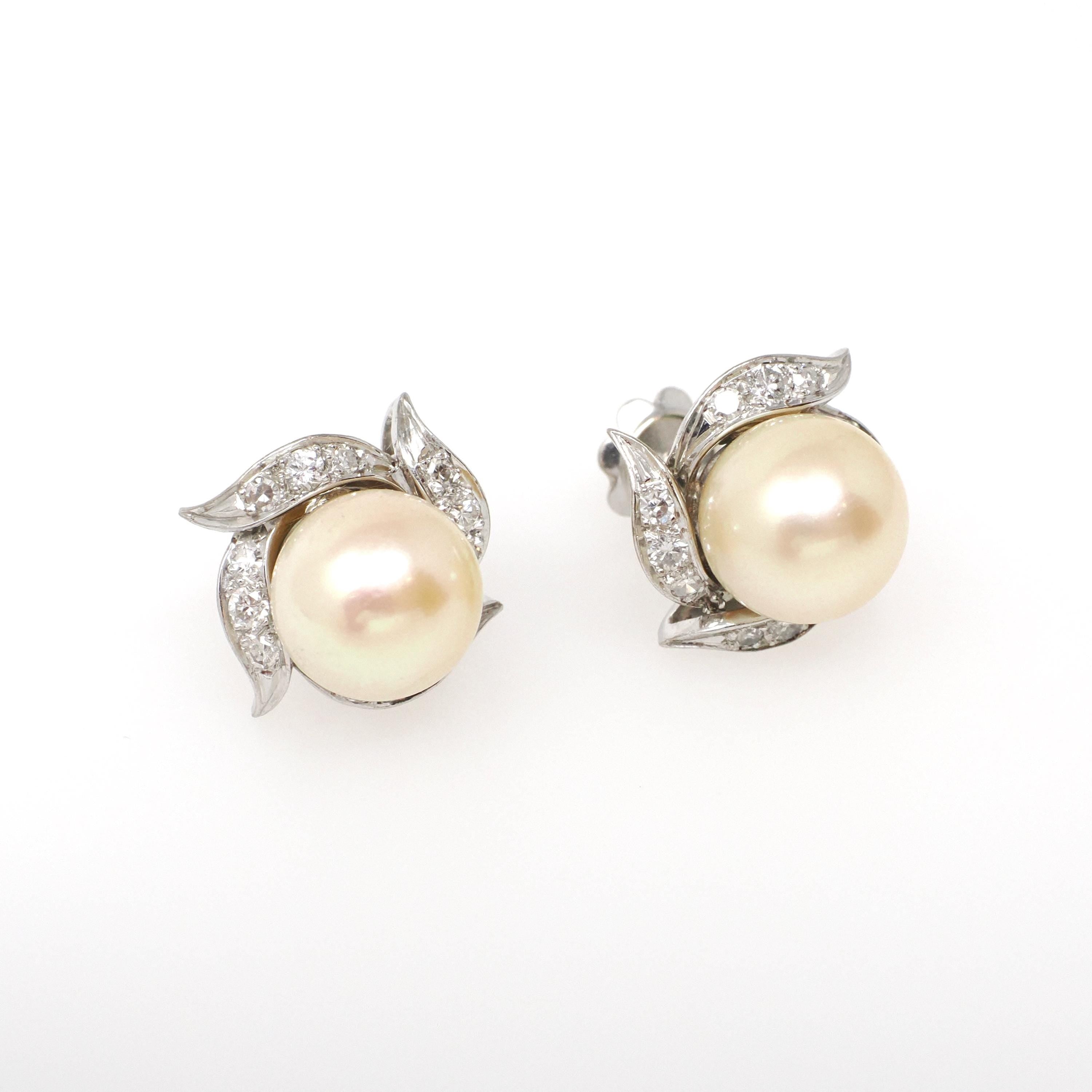 Mid Century Earrings - Vintage 18k White Gold South Sea Pearls .42 CTW Natural Diamonds - Circa 1950s Screw Back Style Spray Fine Jewelry