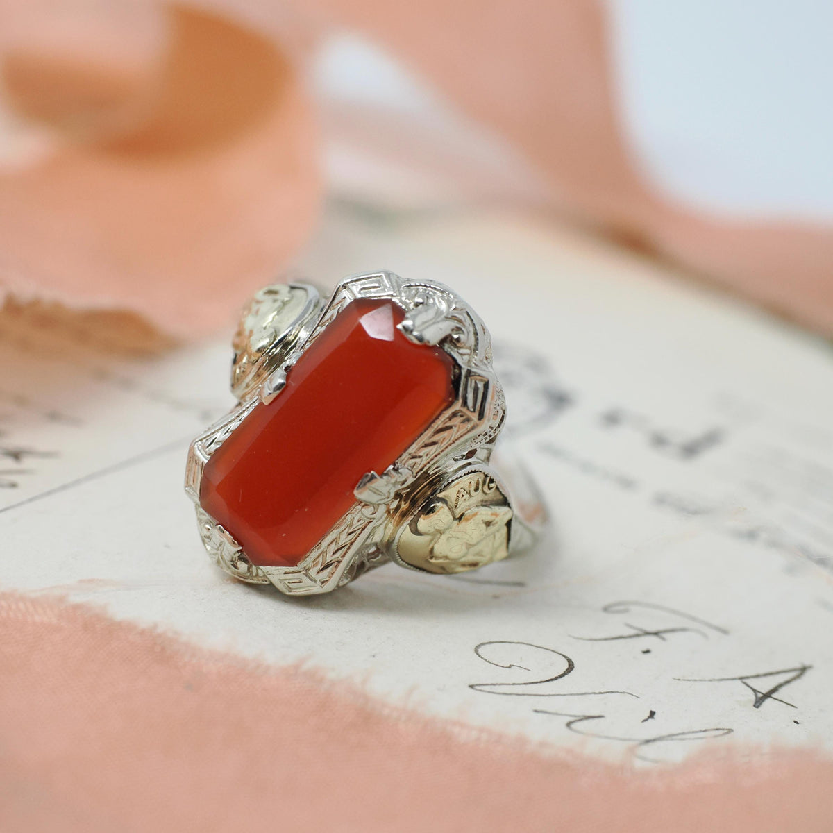 Virgo Filigree Ring - Vintage 14k White & Yellow Gold Natural Carnelian Gemstone Shield - Circa 1930s Size 9 1/2 Fine August Zodiac Jewelry