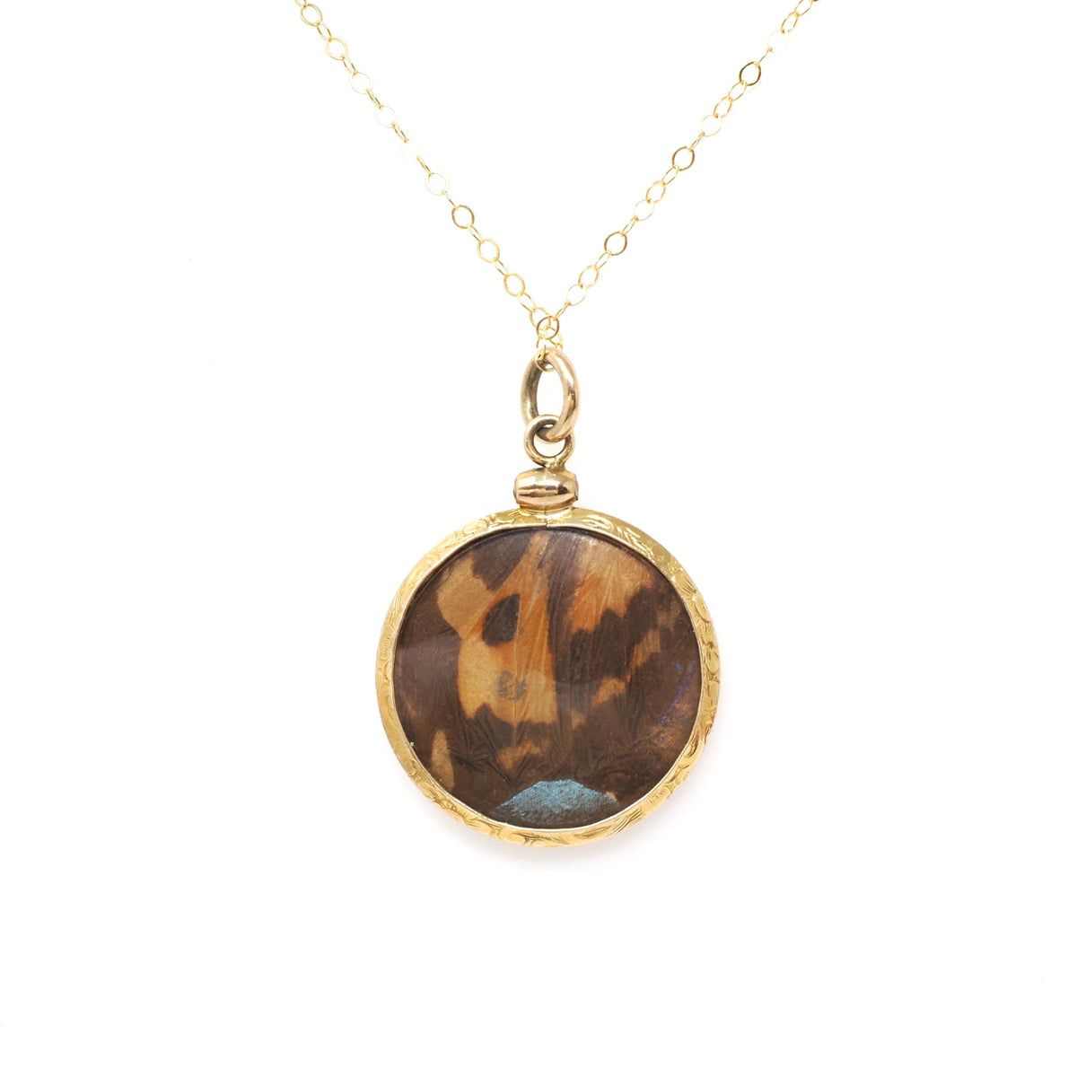 Antique Butterfly Fob Necklace - Edwardian 14k Yellow Gold Double Sided Moth Iridescent Blue Morpho Wing - Circa 1910s Fine Pendant Jewelry